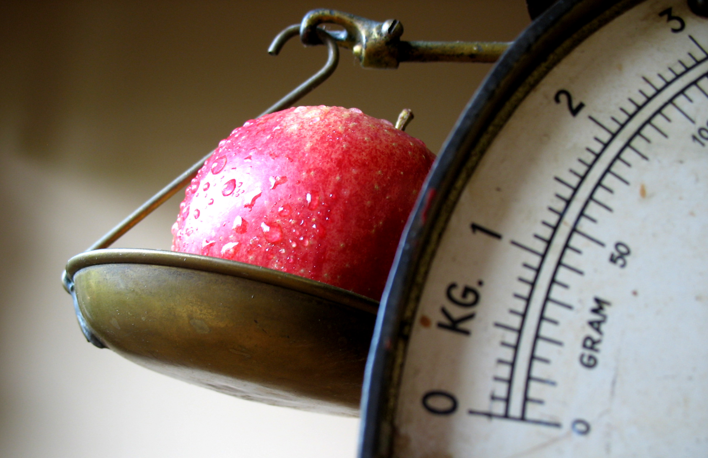 Les aliments faibles en calories